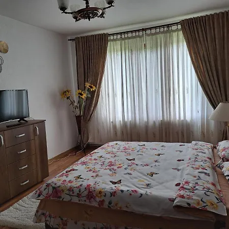 Casa Din Livada Borsa (Maramures)