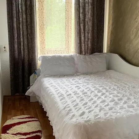 Casa Din Livada Villa Borsa (Maramures)